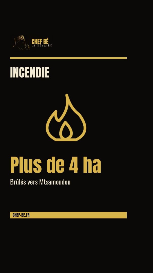 ⁣Plus de quatre hectares brûlés près de Mtsamoudou