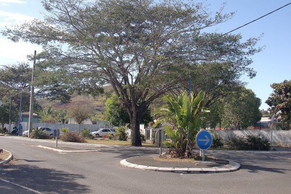 Cent euros pour les gros rouleurs, à Mayotte l'aide carburant passe d'abord par le site des impôts